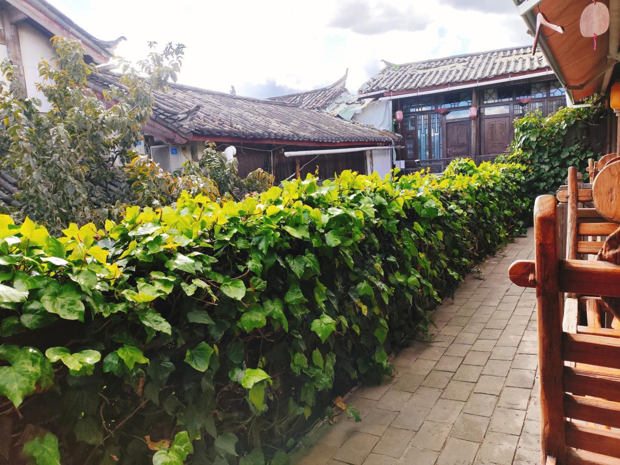 Big Tree Guesthouse - Naxi Old Style Li-ťiang Exteriér fotografie